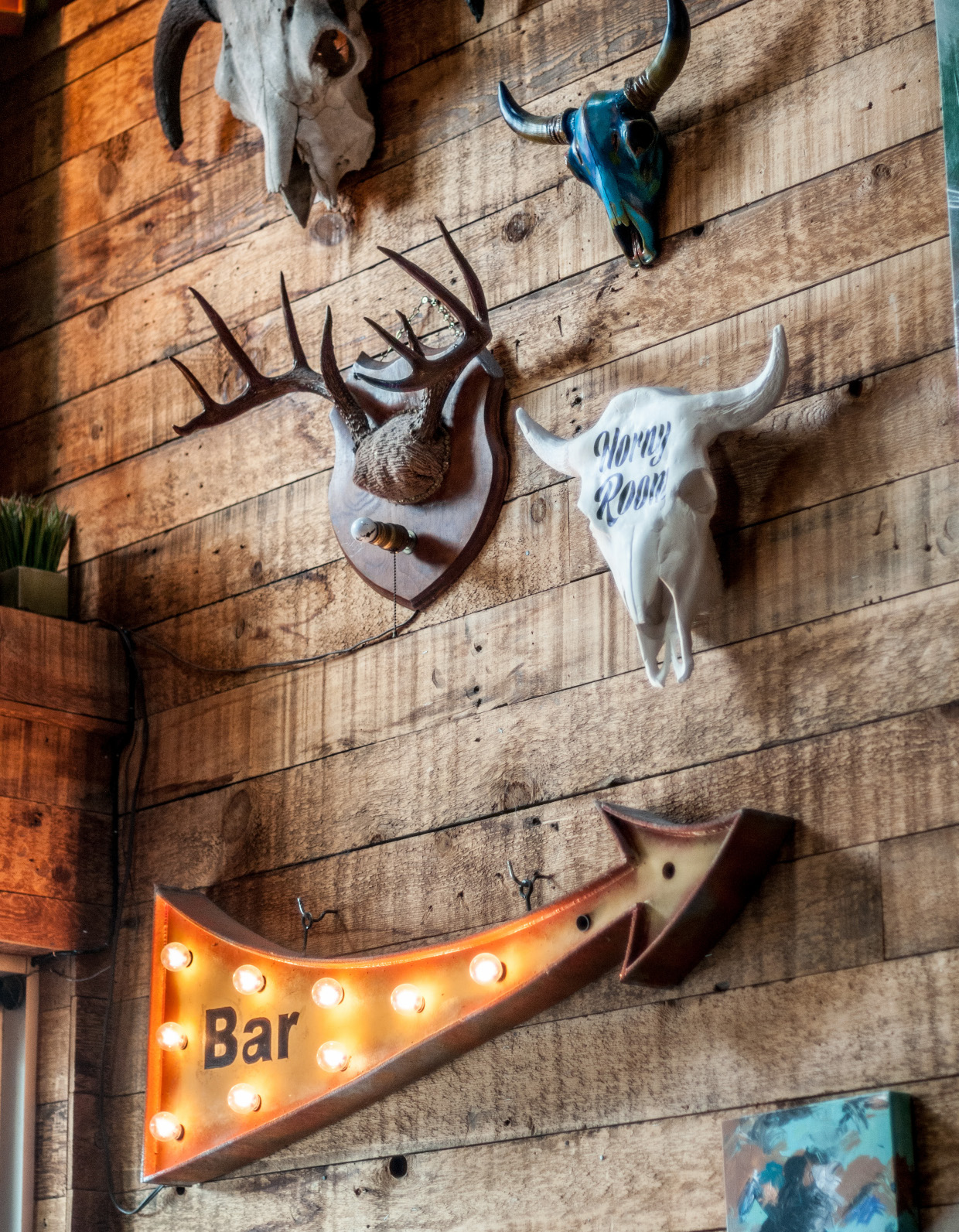 Decorative skulls and antlers mounted on the wall.